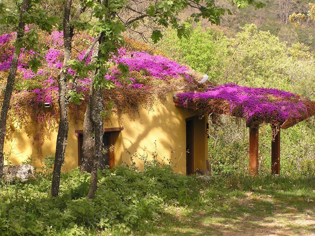 Apartamentos Rurales Ecopangea Valverde de la Vera Δωμάτιο φωτογραφία