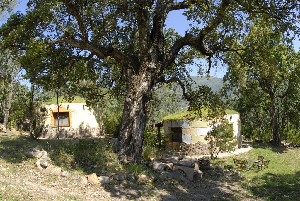 Apartamentos Rurales Ecopangea Valverde de la Vera Εξωτερικό φωτογραφία