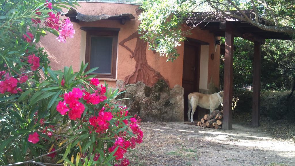Apartamentos Rurales Ecopangea Valverde de la Vera Εξωτερικό φωτογραφία