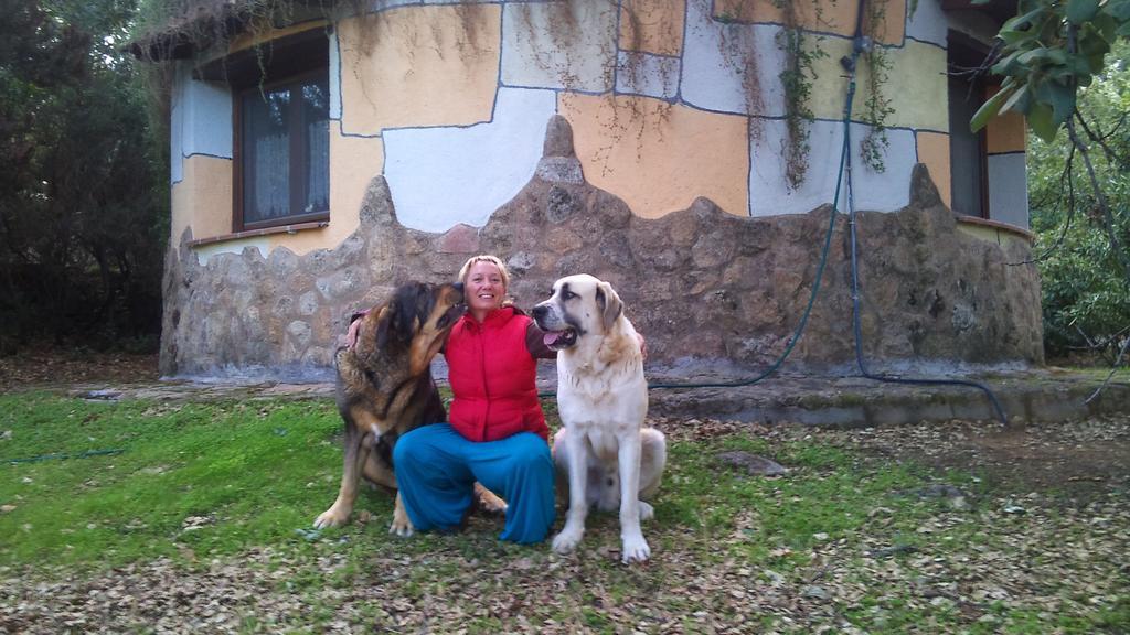 Apartamentos Rurales Ecopangea Valverde de la Vera Εξωτερικό φωτογραφία