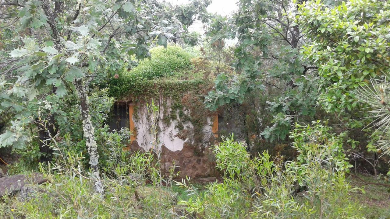Apartamentos Rurales Ecopangea Valverde de la Vera Εξωτερικό φωτογραφία