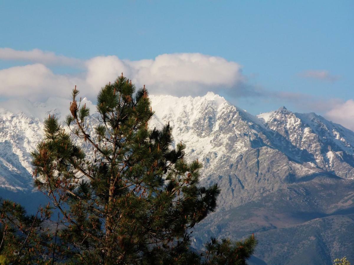 Apartamentos Rurales Ecopangea Valverde de la Vera Εξωτερικό φωτογραφία