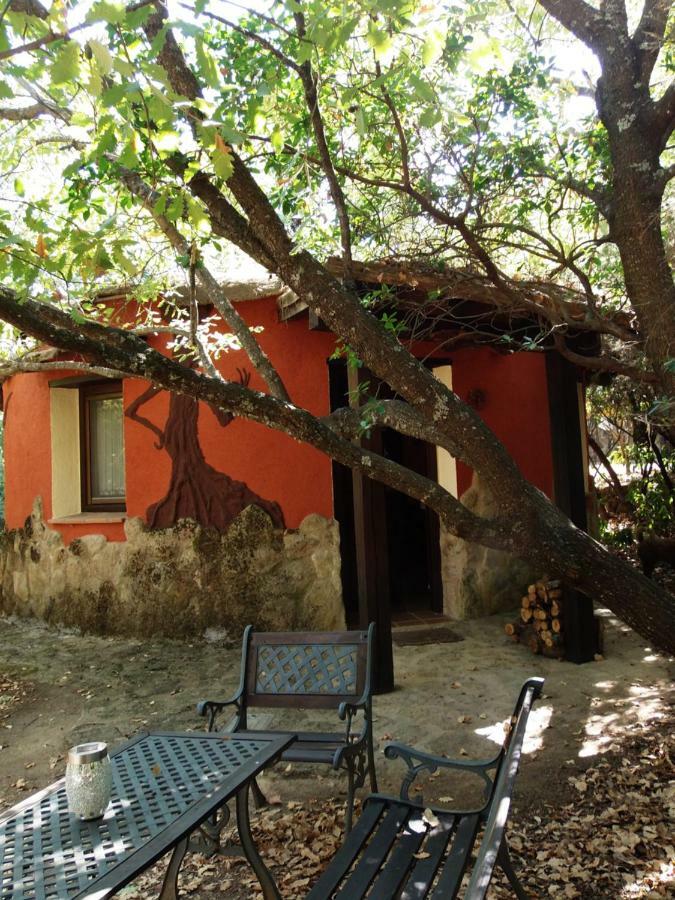 Apartamentos Rurales Ecopangea Valverde de la Vera Εξωτερικό φωτογραφία