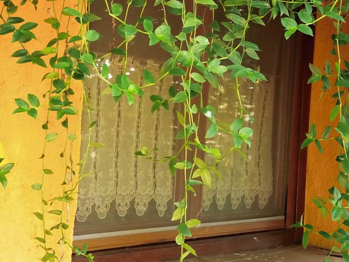 Apartamentos Rurales Ecopangea Valverde de la Vera Εξωτερικό φωτογραφία