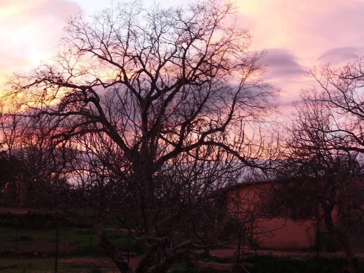 Apartamentos Rurales Ecopangea Valverde de la Vera Εξωτερικό φωτογραφία